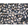 Watermelon Seeds kernel