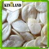 black seedless watermelon seed