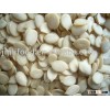 melon seeds kernel