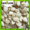 Free Sample black watermelon seeds