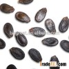 Supply black watermelon seed with good quality for sale