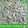 Sunflower Seeds Kernel(Confectionary Grade)