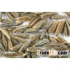 cumin seed supplier
