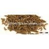 CUMIN SEEDS