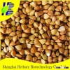 High Sprouting Rate Buckwheat Seeds