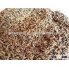 Cumin seed of best quality at best price