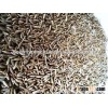 Cumin seed Reasonable Price