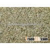 Europe Quality Machine Cleaned Cumin Seed