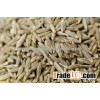 Top Quality Cumin Seeds Exporters