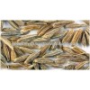 Top Quality Cumin Seeds