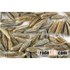 Cumin Seed for Peru Market