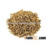 Dried Pure Jeera Exporters