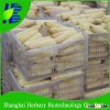 White sweet waxy corn seed for planting