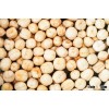 Dried Dissect White lotus seed nutrition / DRIED WHITE LOTUS SEED