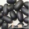 Black Lotus Seed