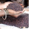 HOT SALE_VIETNAM BLACK PEPPER 550GL/ 500GL AT COMPETITIVE PRICE