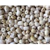VIETNAM LOTUS SEED, HIGH QUALITY AT RIGHT PRICE