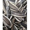 Sunflower Seeds Common