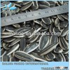 CROP 2012 BLACK BULK SUNFLOWER SEED WITH TOP QUALITY