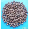 VIETNAMESE SUPPLIER OF RED LOTUS SEEDS BEST PRICE