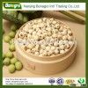 lotus seed/lotus seed snack