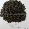 Sunflower Oil Seeds