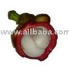 Garcinia mangostana Extract