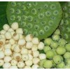 Jianning Dry Lotus seed