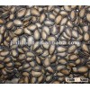 Top quality red &black watermelon seeds