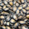 2012 Chinese crops of black watermelon kernels