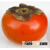 Persimmon