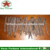 100% success rate growing paulownia shan tong root