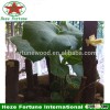 Large leaves species paulownia Shantong roots cutting