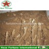 Wide using fast growing paulownia Elongata roots