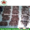 Hybrid 9501 roots cutting for planting fast growing paulownia tree