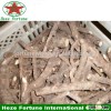 Chinese fast growing rate paulownia roots cutting