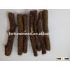 Strong resistance to disease hybrid shan tong root empress paulownia