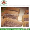 Fast delivery kiri roots paulownia roots for germination