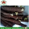 Fast growing Ornamental Trees for park paulownia elongata roots for planting
