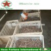 Big discount Heze Fortune paulownia root wholesale