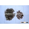 Newly Chinese Bamboo seeds for growing