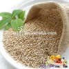 White Sesame Seeds for TAHINI JAM West African natural sesame FOB CIF CFR CIP world-wide sales