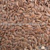 organic linseed/flax seed