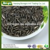 Wholesale Sunflower Seeds american type
