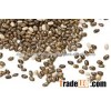 organic chia seeds