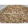 Good Quality Bakery Grade Sunflower Seeds Kernels