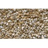 Natural Sesame Seeds from Africa Grade 1