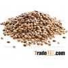 Hemp Seeds Organic