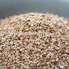 international price of black white sesame seed from china