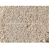 Freash Sesame Seeds